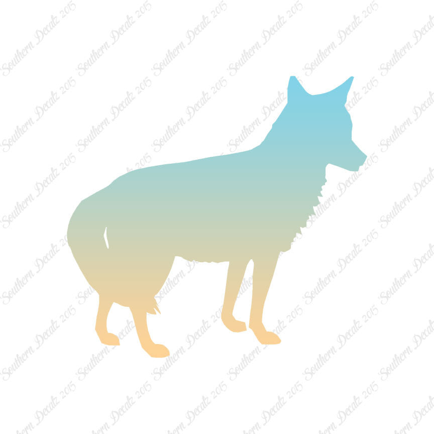 Coyote Jackal Wild Dog