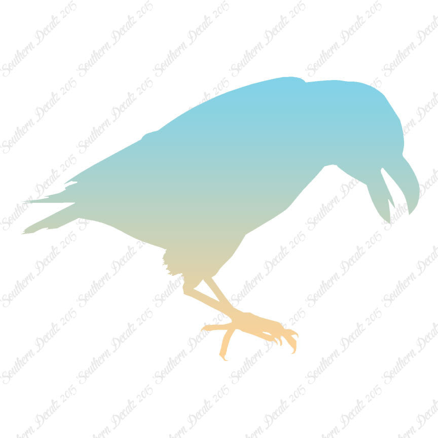 Raven Blackbird Crow