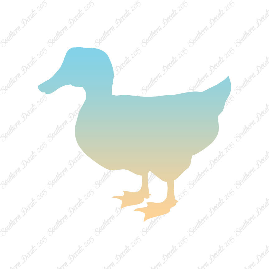Duck Mallard