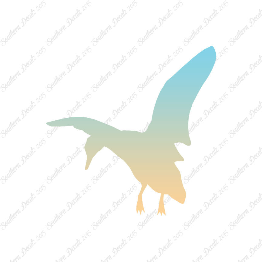 Duck Mallard Flying