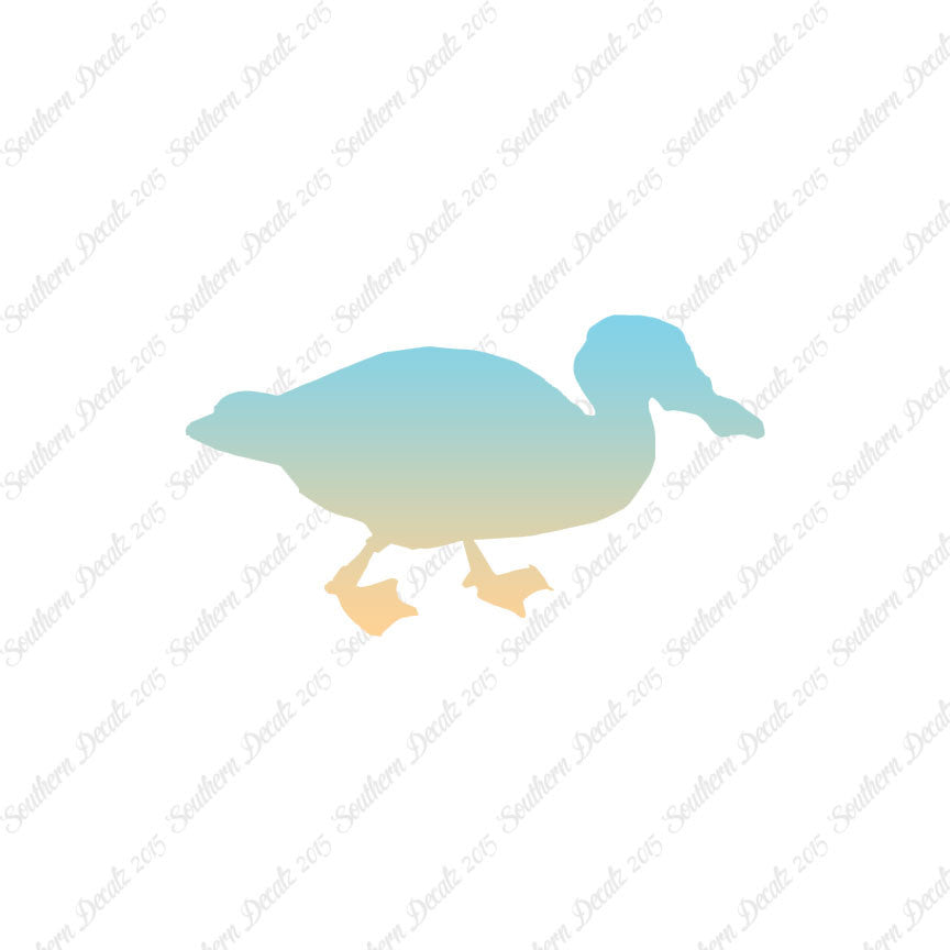 Mallard Duck