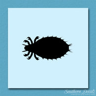 Flea Louse Bed Bug Insect