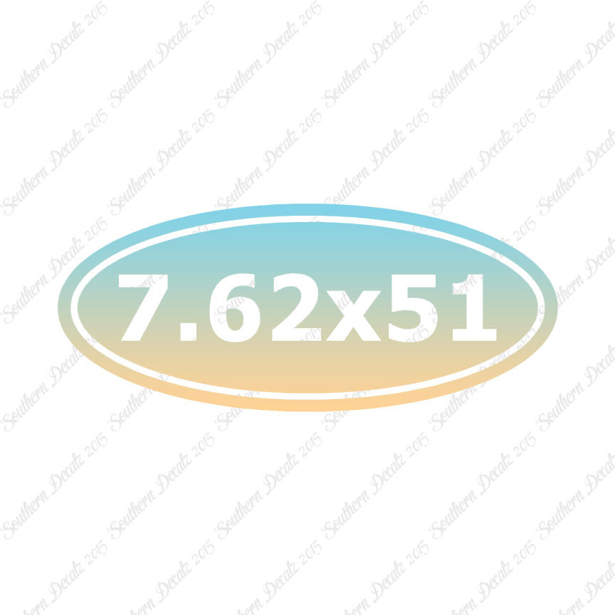 Ammo 7.62 x 51mm