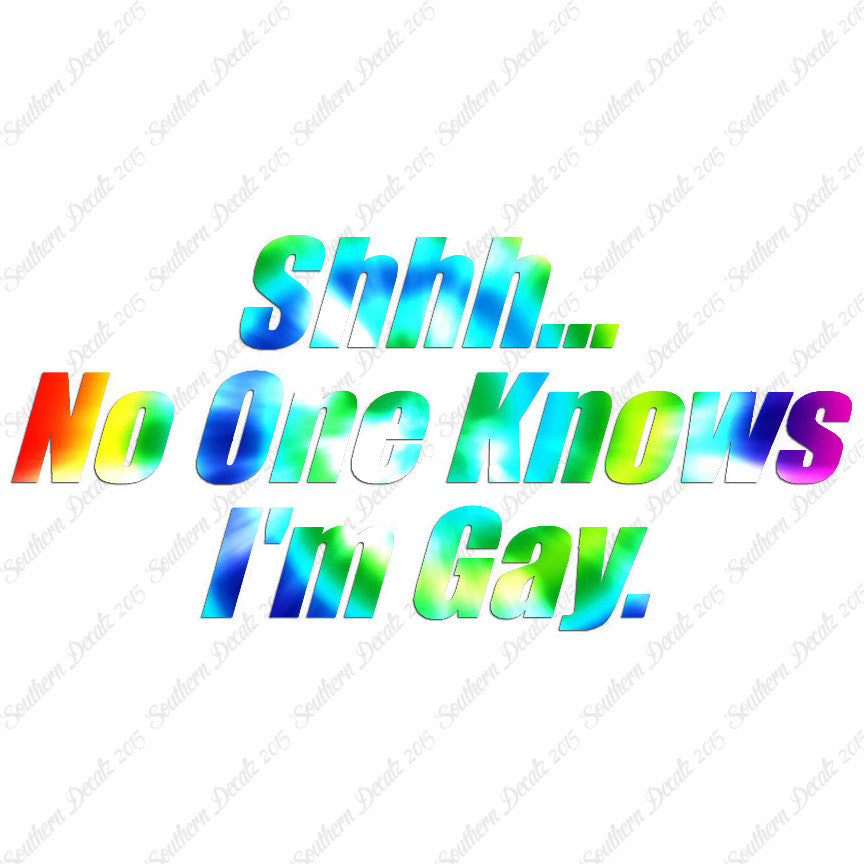 Shh No One Knows I'm Gay