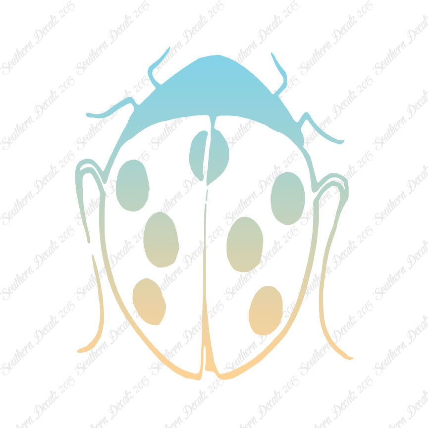 Ladybug Insect