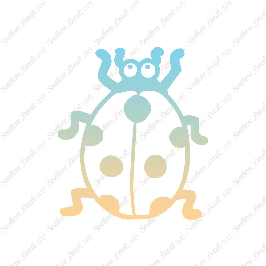 Ladybug Beetle Insect