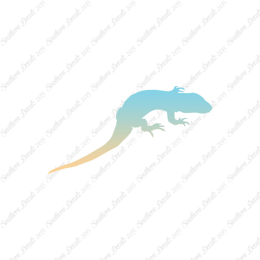 Lizard Gecko Anole