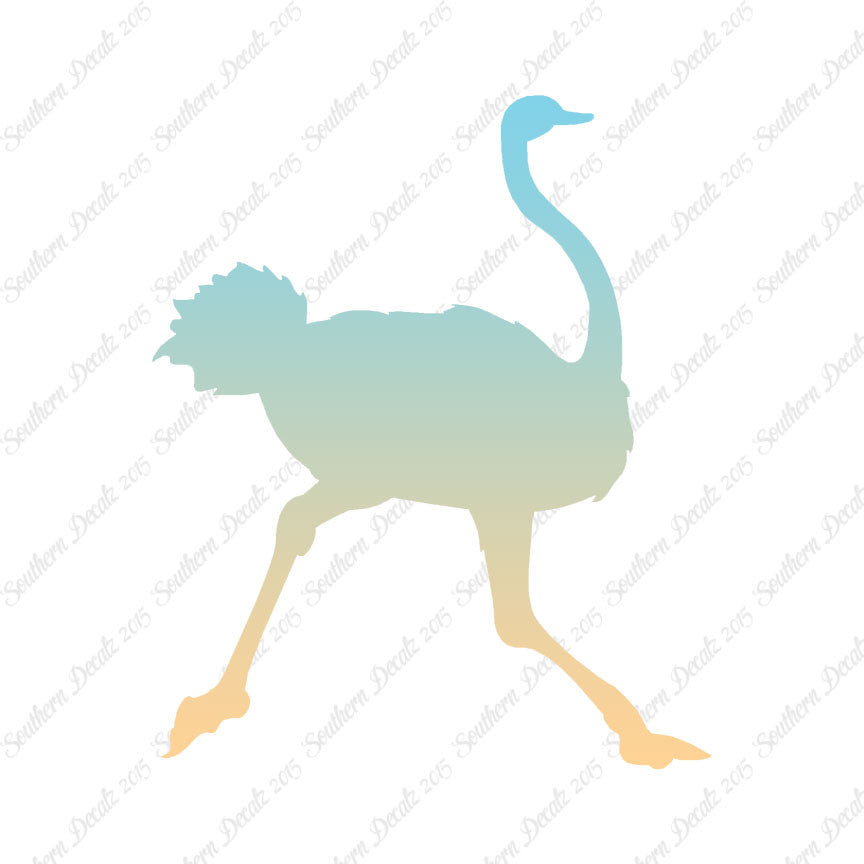 Ostrich Running
