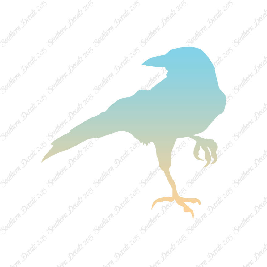 Crow Raven Jackdaw