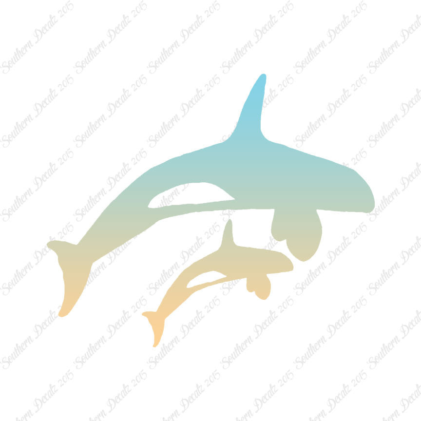 Killer Whale Orca