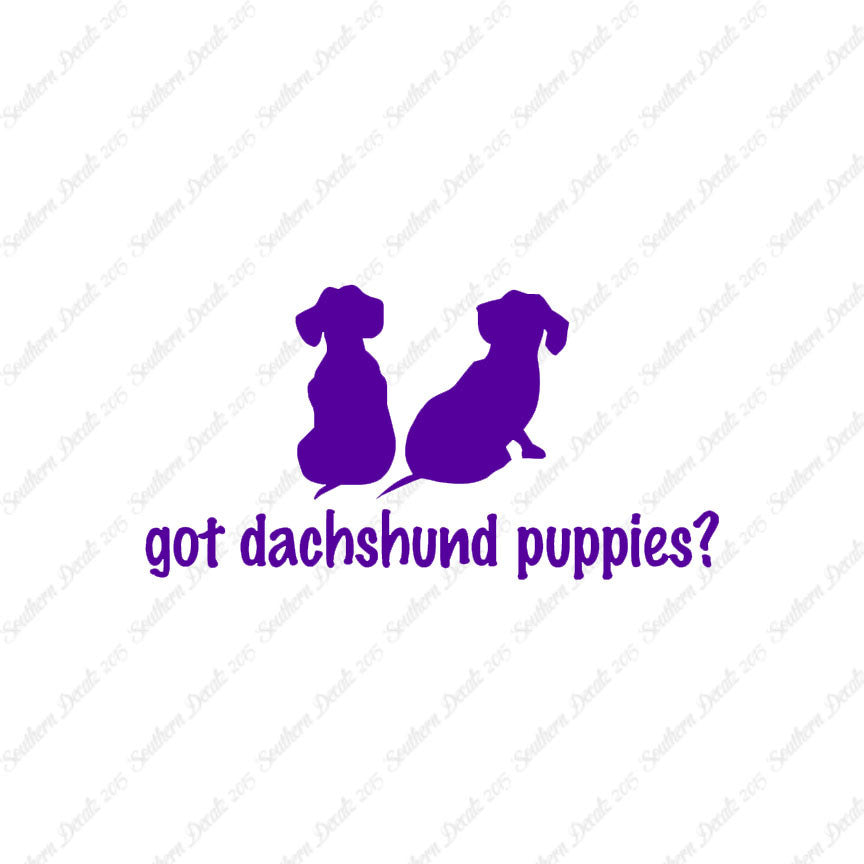 Got Dachshund Puppies ? Dog Breed