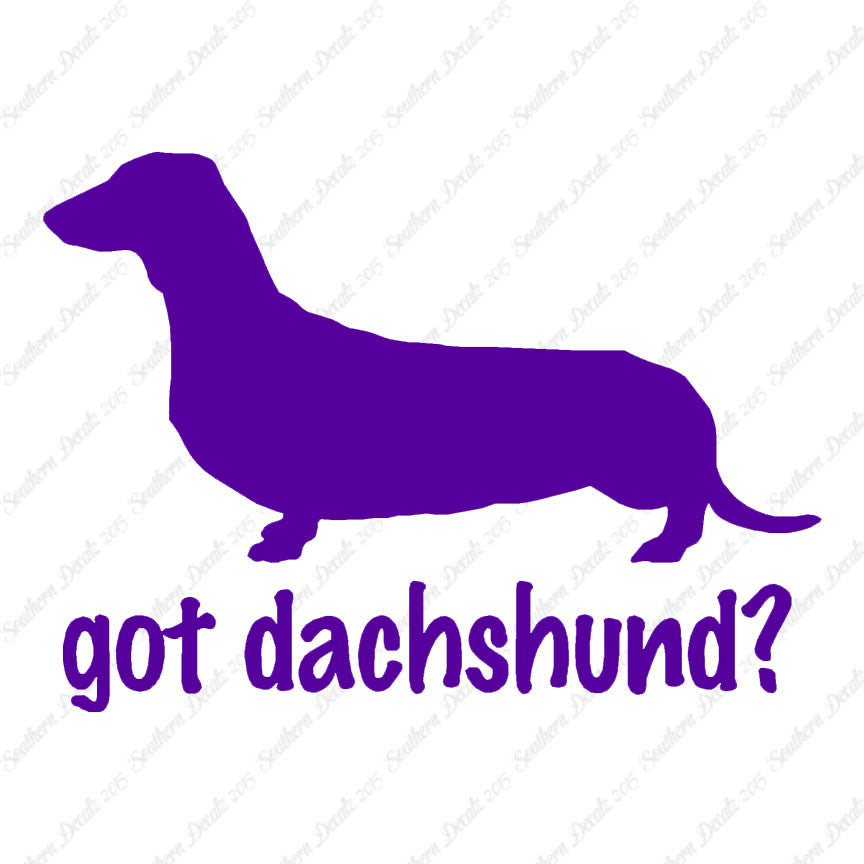 Got Dachshund ? Breed Dog