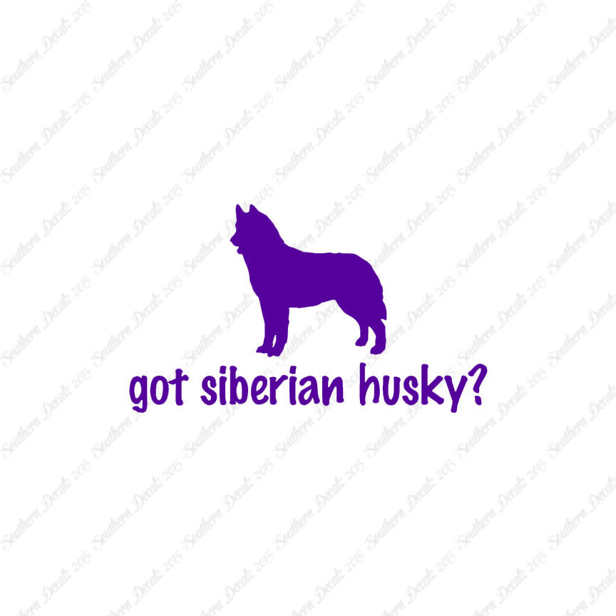 Got Siberian Husky ? Dog Breed