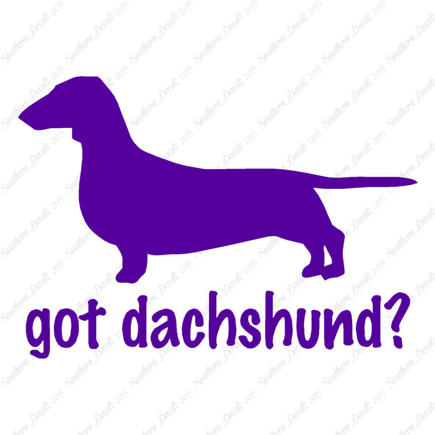 Got Dachshund ? Dog Breed