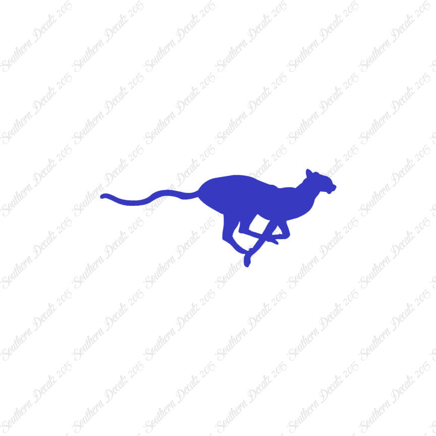 Cheetah Panther Big Cat
