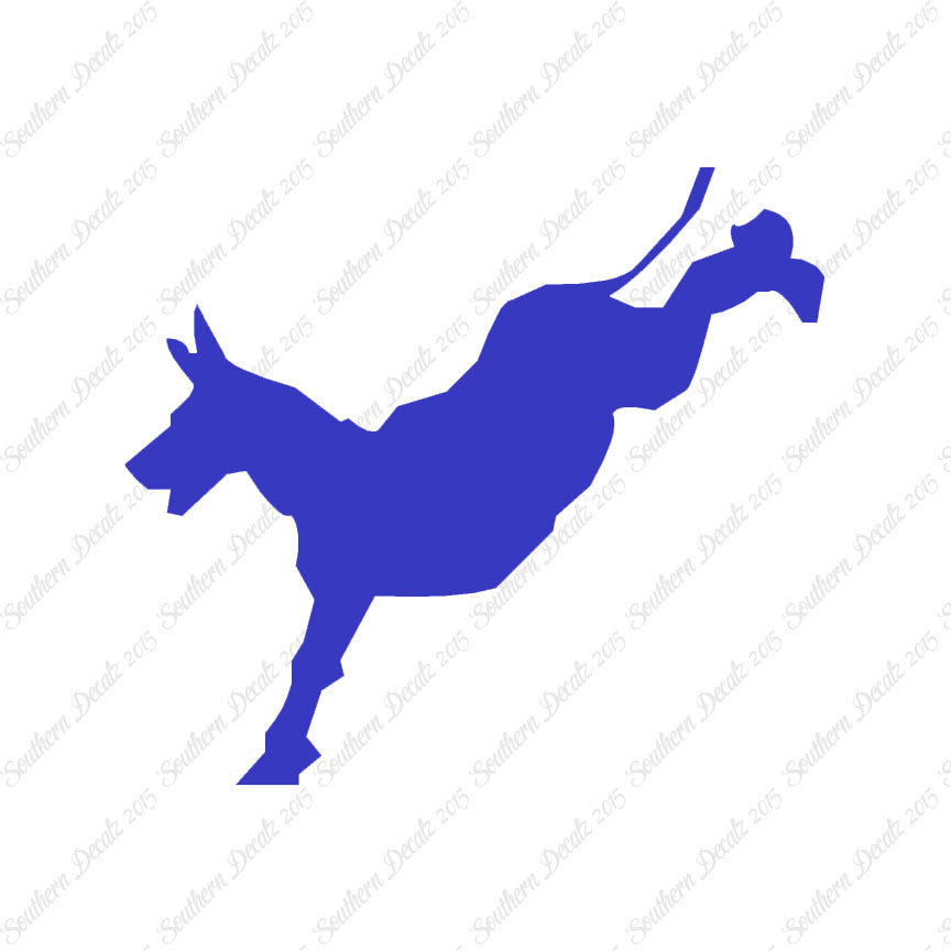 Mule Donkey