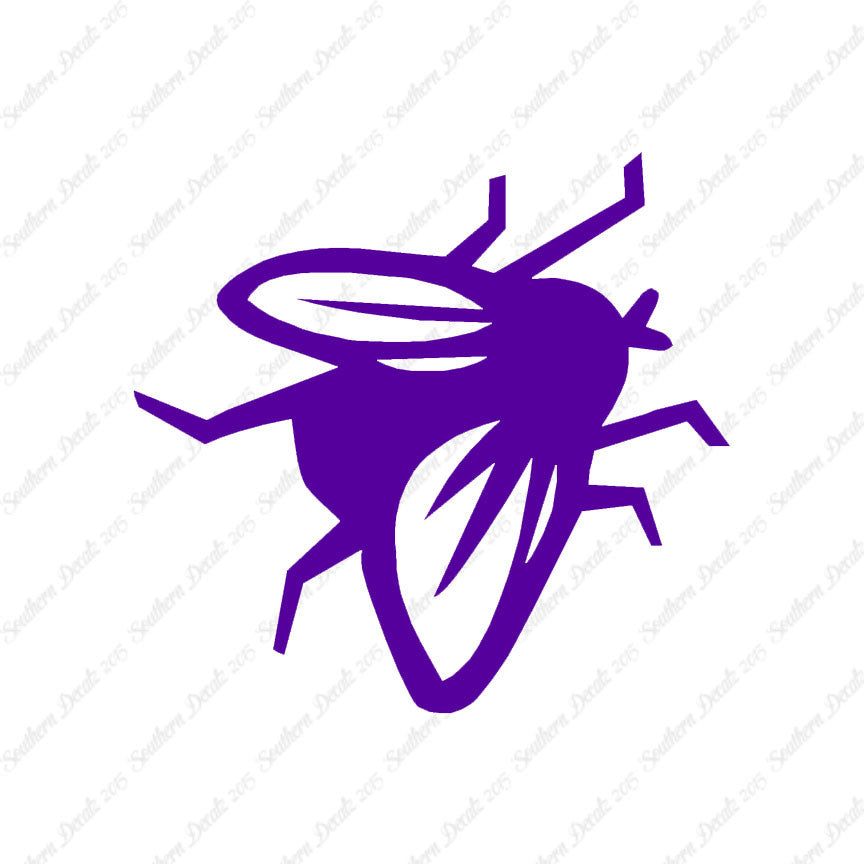 Fly Insect Pest Bug