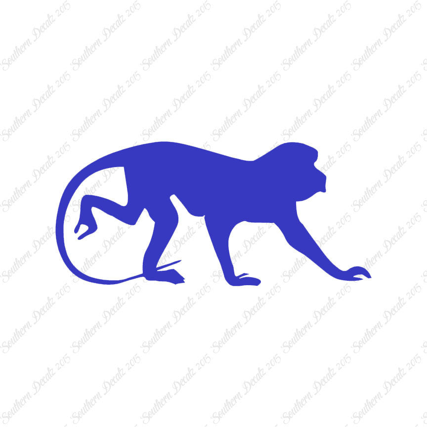 Monkey Chimpanzee Primate