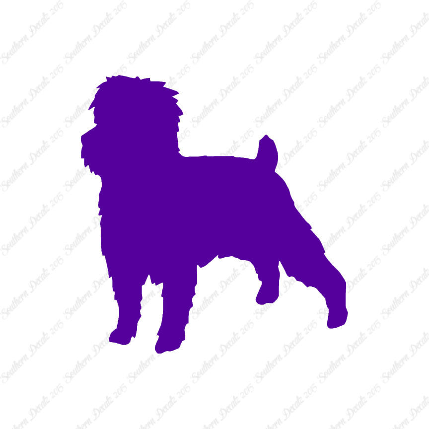 Affenpinscher Dog Breed