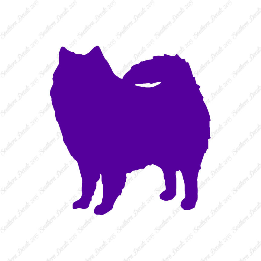 American Eskimo Dog Breed