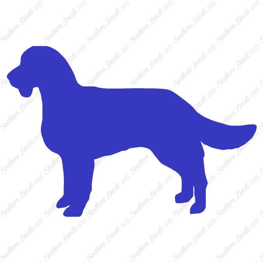 American Water Spaniel Dog Breed