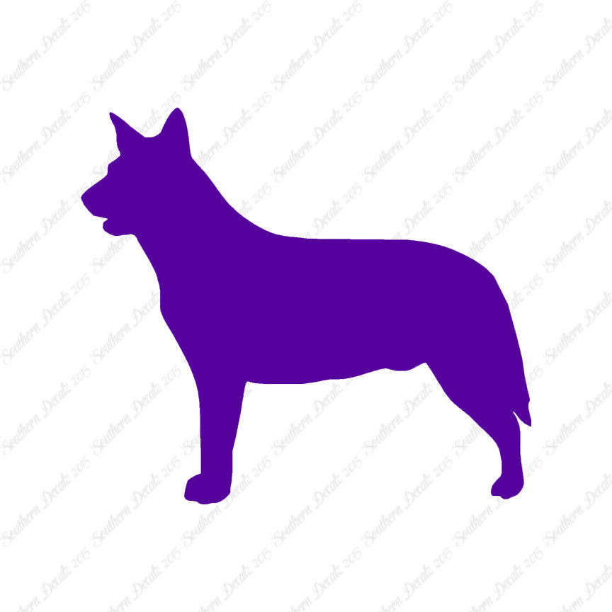 Australian Cattledog Dog Breed