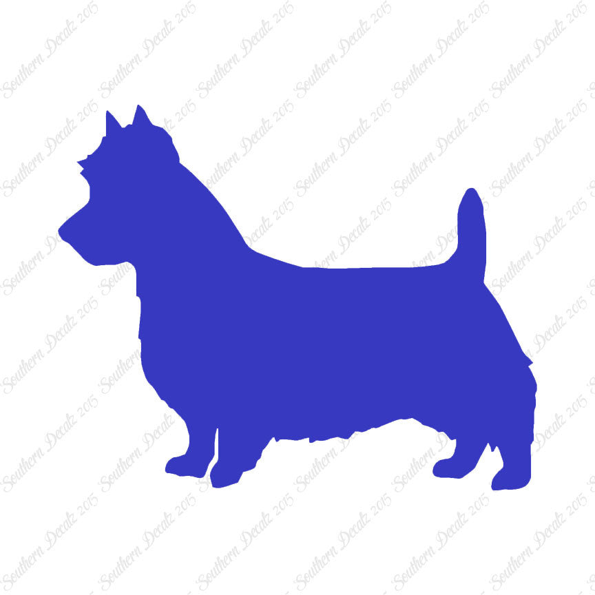 Australian Terrier Dog Breed