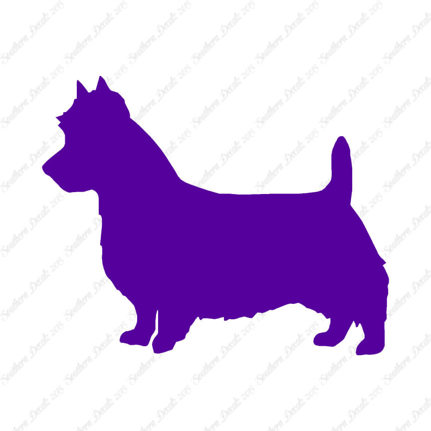 Australian Terrier Dog Breed