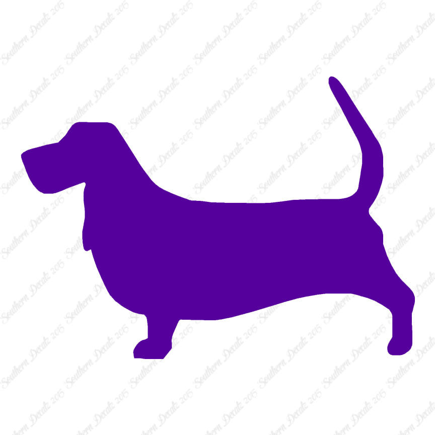 Basset Hound Dog Breed