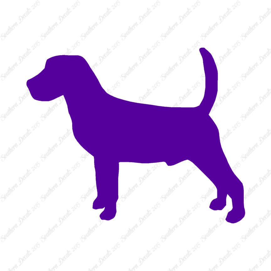 Beagle Dog Breed