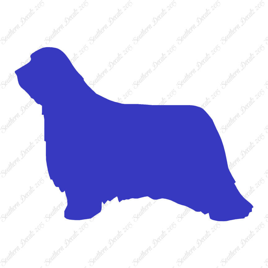Bearded Collie Dog Breed