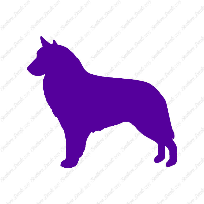Belgian Sheepdog