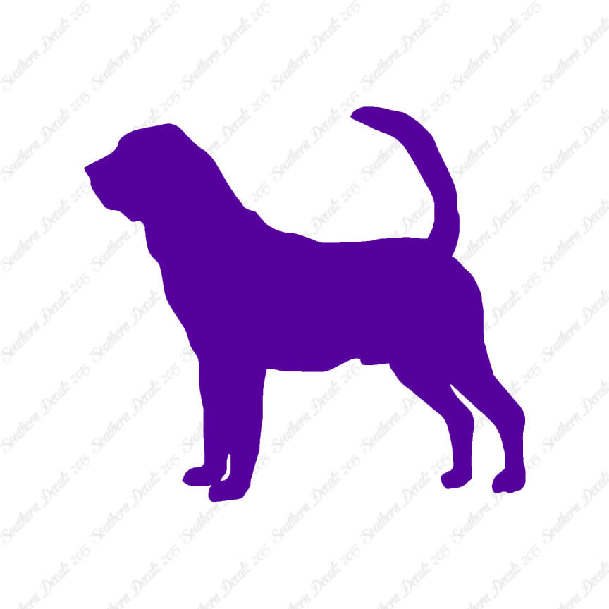 Bloodhound Dog Breed