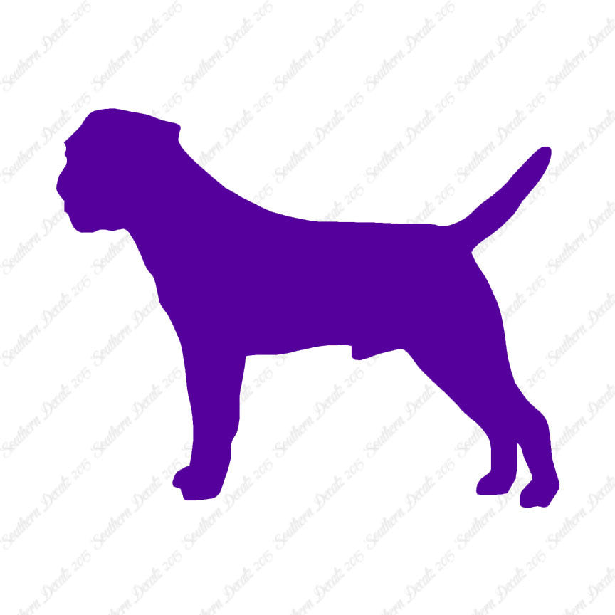 Border Terrier Dog Breed