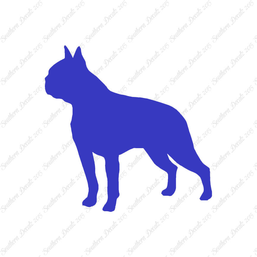 Boston Terrier Dog Breed