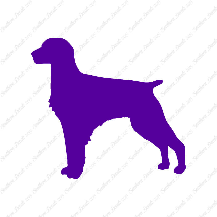 Brittany Dog Breed