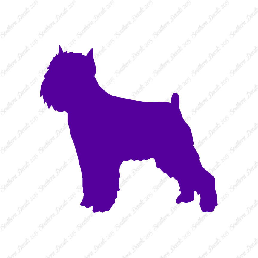 Brussels Griffon Dog Breed