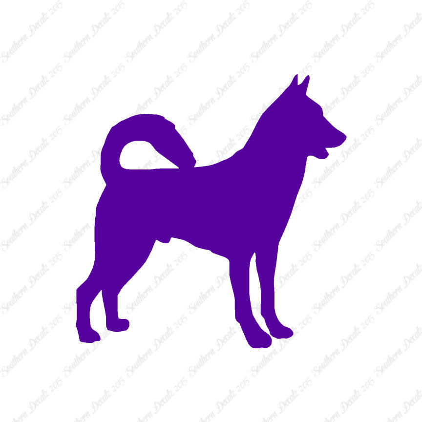Canaan Dog Breed