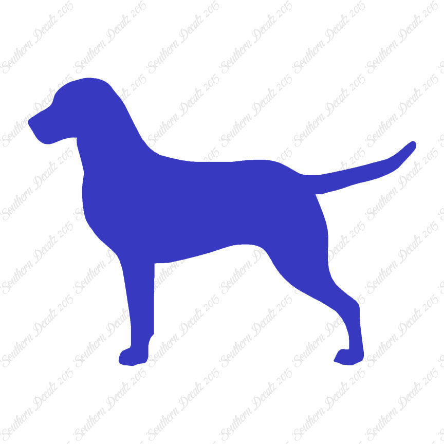 Chesapeake Bay Retriever Dog Breed