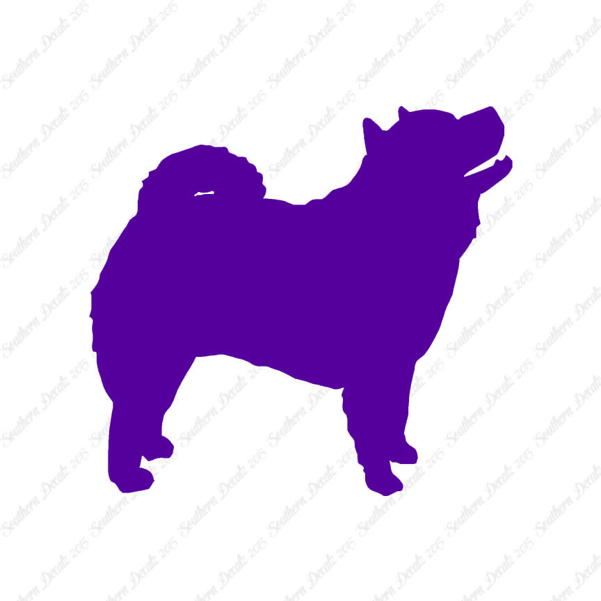 Chow Chow Dog Breed
