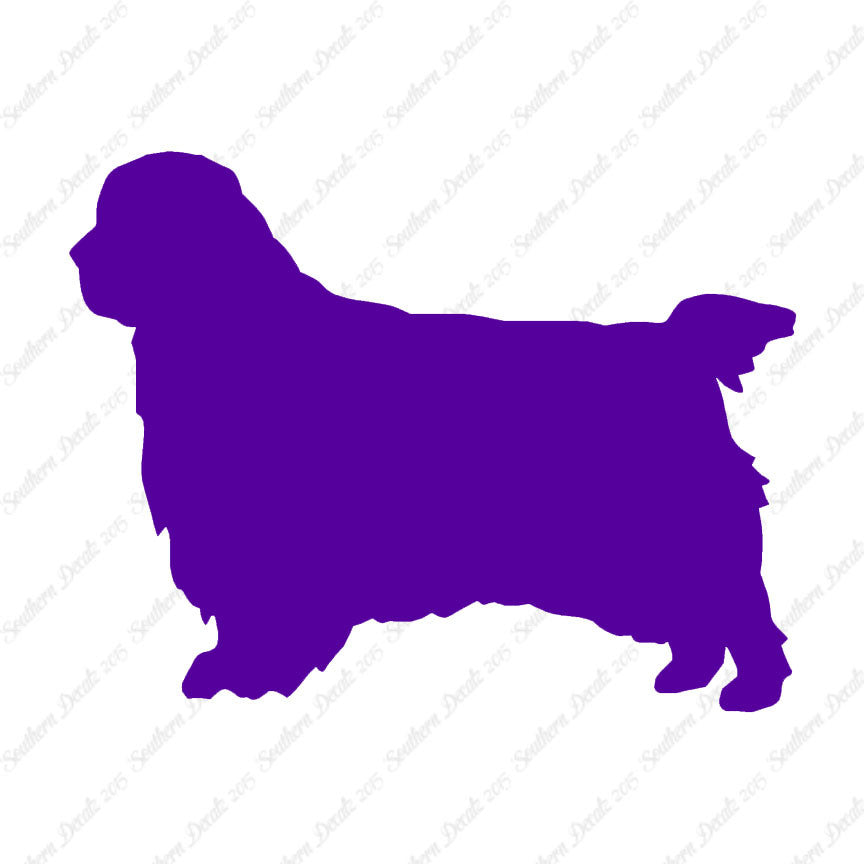 Clumber Spaniel Dog Breed