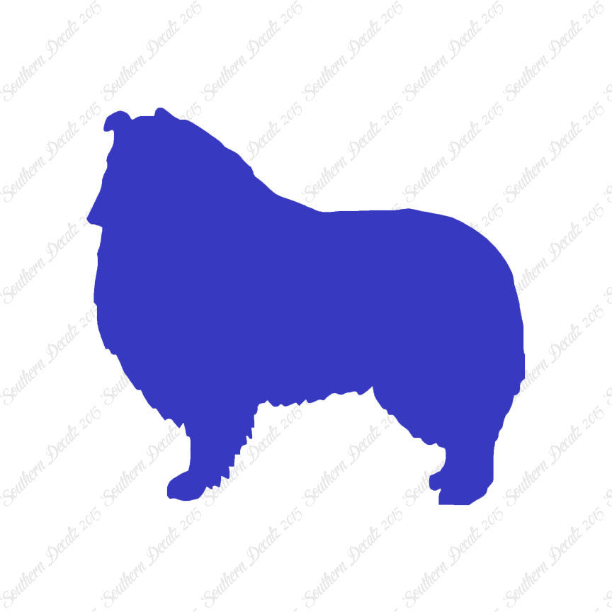 Shetland Sheepdog Collie Dog Breed