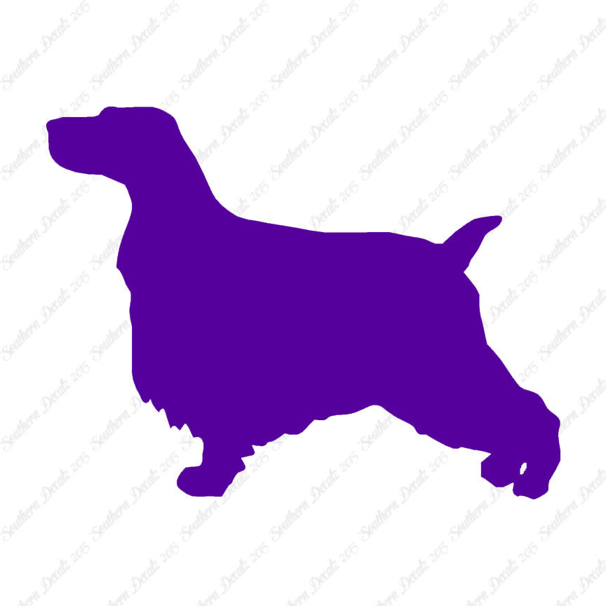English Cocker Spaniel Dog Breed