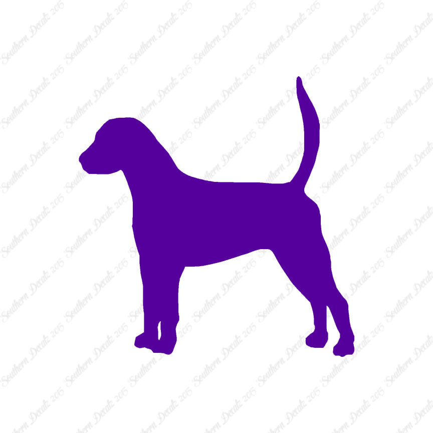 English Foxhound Dog Breed