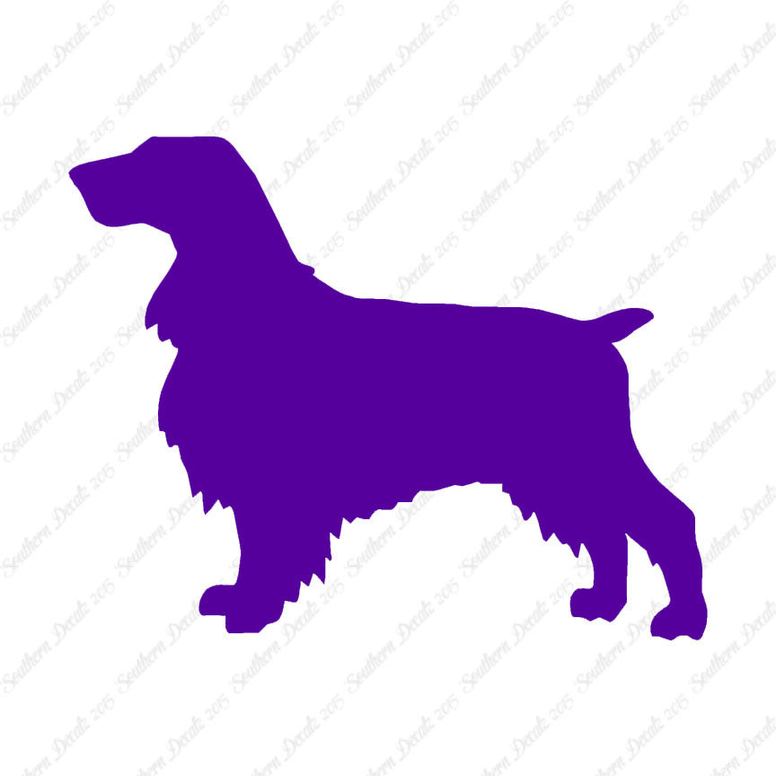 Field Spaniel Dog Breed
