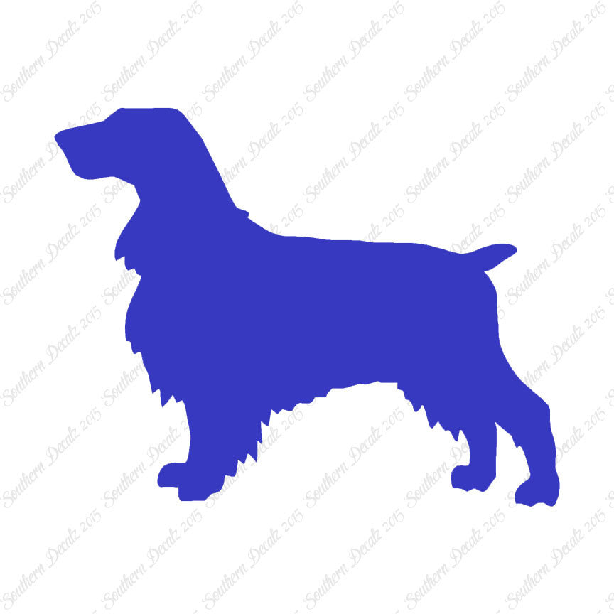 Field Spaniel Dog Breed