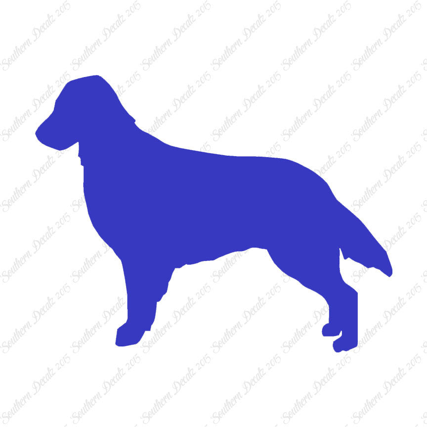 Flat Coated Retriever Dog Breed