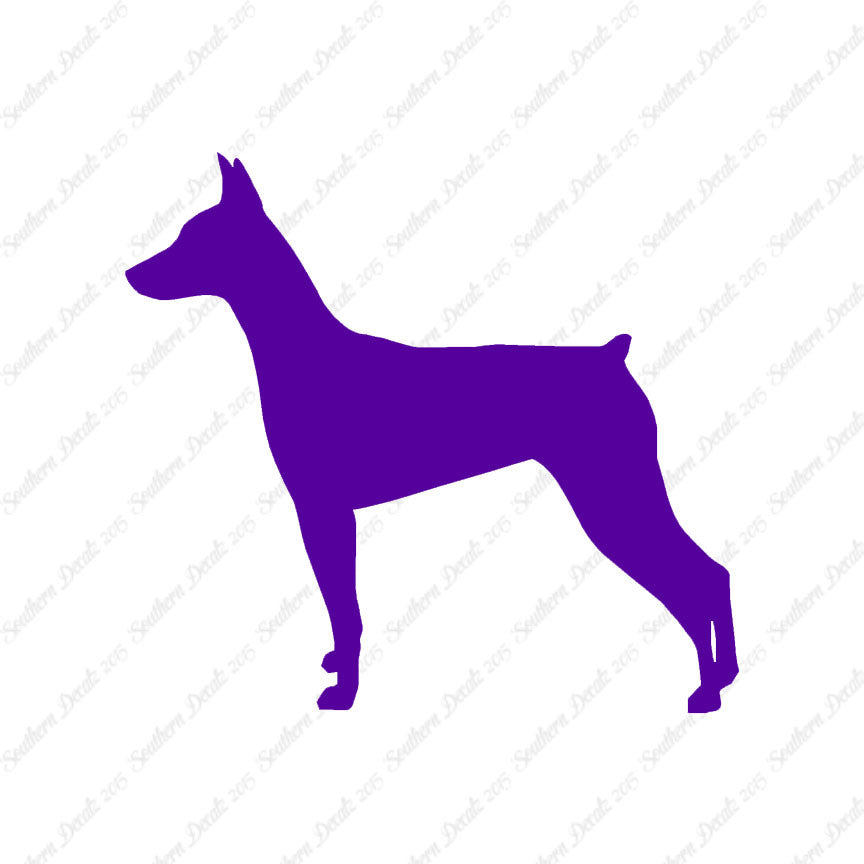 German Pinscher Dog Breed