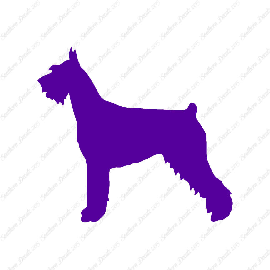German Schnauzer Dog Breed