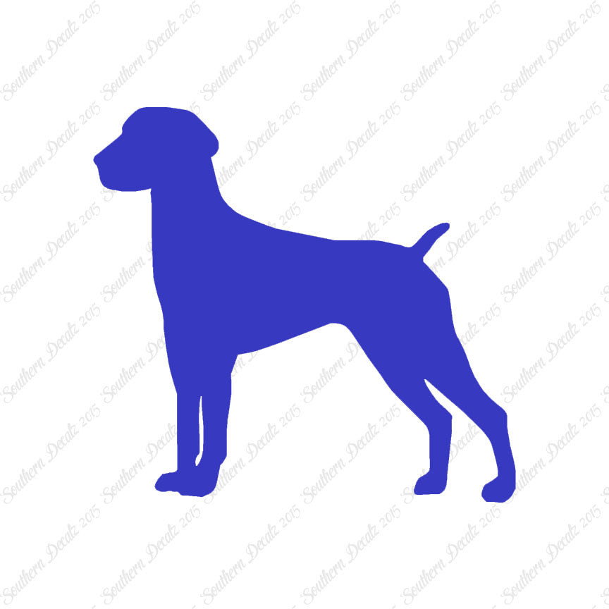 German Shorthaired Pointer Dog Breed